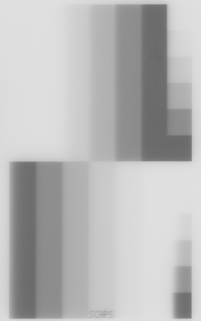 Bitmap_Gray_Advanced_Black_Level_Bright
