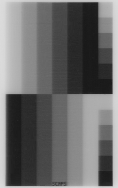 Bitmap_Gray_Advanced_White_Level_Dark