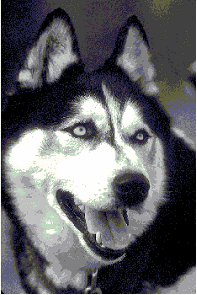 bitmap_original