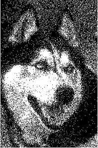 bitmap_scanner_image