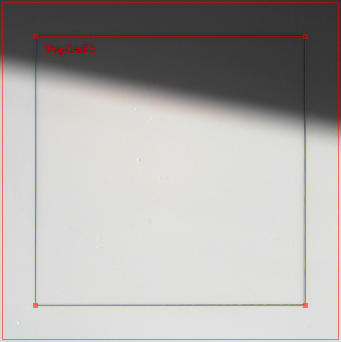 ResultCameraPicture